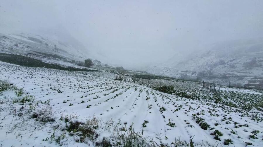هشدار هواشناسی در خصوص نفوذ توده هوای سرد در ۴ استان/احتمال خسارت به محصولات کشاورزی
