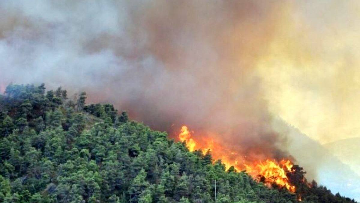 98 درصد آتش‌سوزی جنگل‌ها کار انسان‌هاست