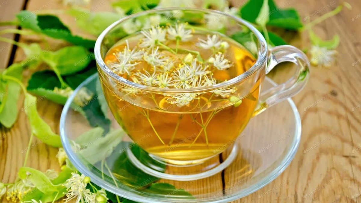 چای زیرفون و فواید فوق العاده آن برای سلامت