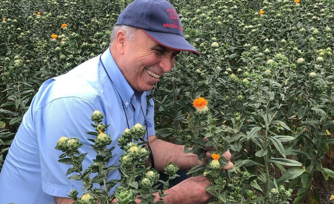 پژوهشگر ایرانی یکی از 51 قهرمان “کشاورزی حفاظتی” جهان شد