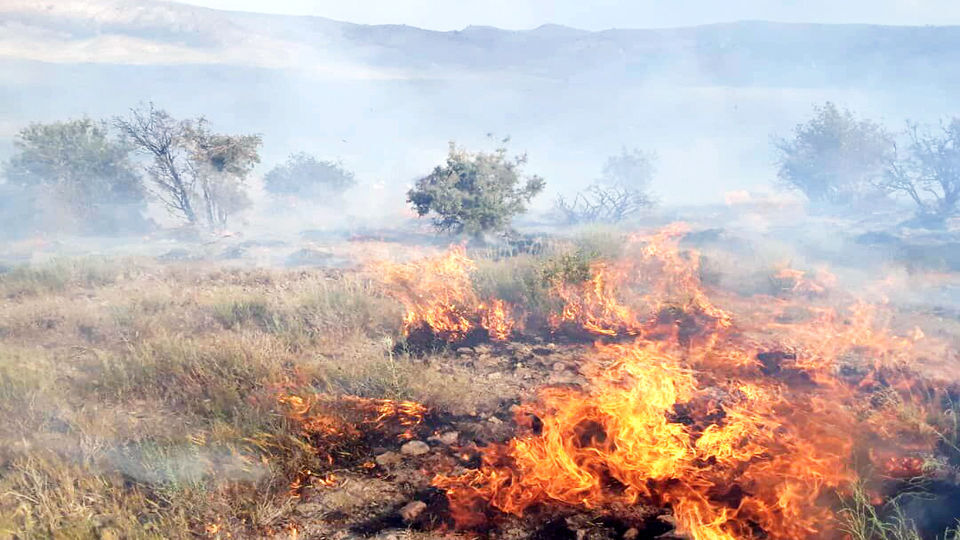 مرگ داوطلب آموزش‌ندیده در آتش سوزی جنگل